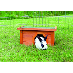 Small Animal Home Bruin