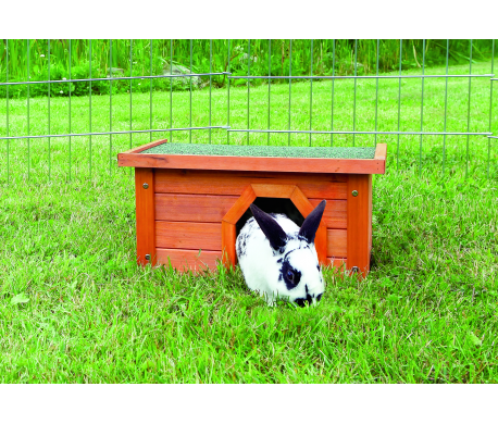 Small Animal Home Bruin