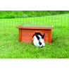 Small Animal Home Bruin