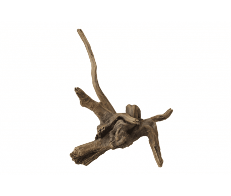 Aqua Della Driftwood -2 Aqua Della Driftwood -2