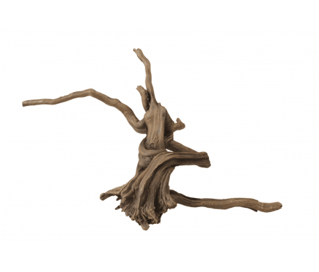 Aqua della driftwood -3 Aqua della driftwood -3