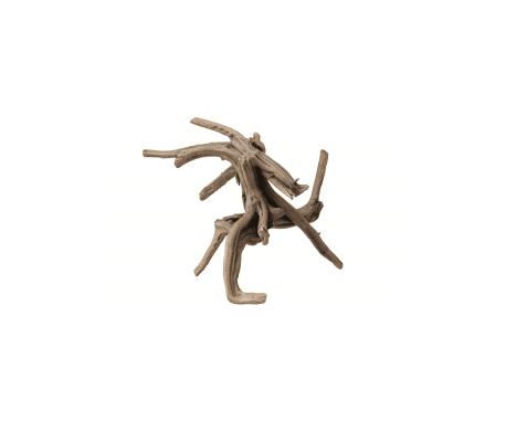 Aqua Della Driftwood -1 Aqua Della Driftwood -1