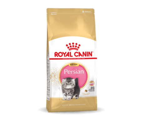 Royal Canin Persian Kitten