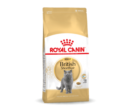 Royal Canin British Shorthair Royal Canin British Shorthair