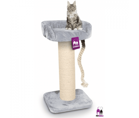 Krabpaal The Rebels Maine Coon 100 Grijs