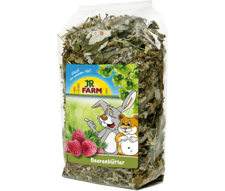 JR FARM Bessen/bladeren - 100 gram JR FARM Bessen/bladeren - 100 gram