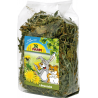 JR Farm Paardenbloem - 100g