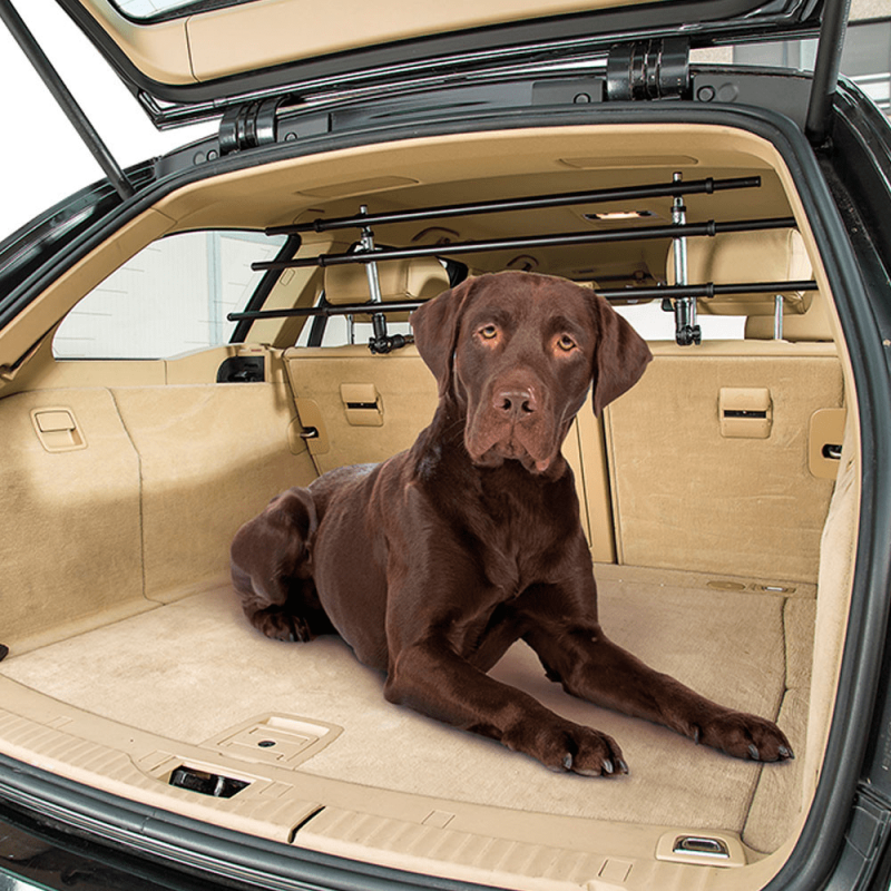 Bakken Vacature web Dog Car Security (autorek) kopen? | Dierenverblijf.com