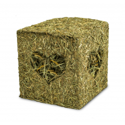 JR Farm Hooiblok met meelwormen - 125g