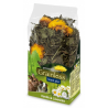JR Farm Grainless Snack met kamille - paardenbloem 100g