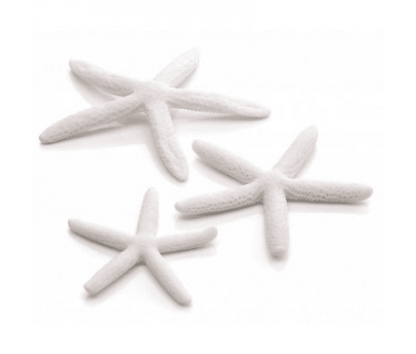 biOrb Star Fish biOrb Star Fish