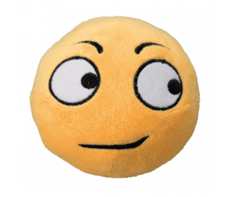 Pluche Smiley Sceptische Pluche Smiley Sceptische