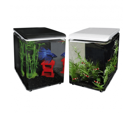 Superfish Aquarium Home 8 Superfish Aquarium Home 8