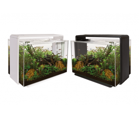 Superfish Aquarium Home 80 Superfish Aquarium Home 80