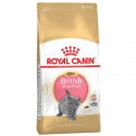 Royal Canin British Shorthair 10kg