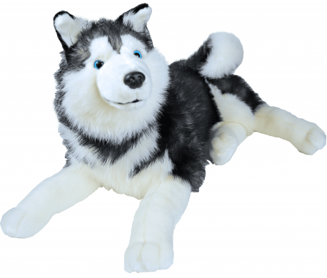 Levensechte knuffel - HUSKY Levensechte knuffel - HUSKY