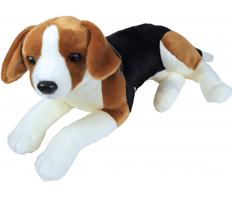 Levensechte knuffel - Beagle Levensechte knuffel - Beagle