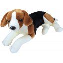 Levensechte knuffel - Beagle