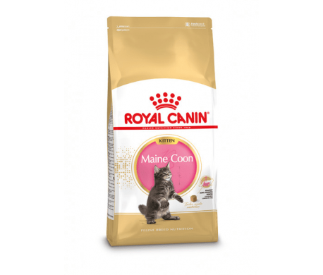 Royal Canin Maine Coon Kitten 10kg Royal Canin Maine Coon Kitten 10kg