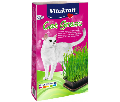 Vitakraft Cat Grass Vitakraft Cat Grass