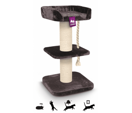 Petrebels Krabpaal The Rebels Maine Coon 120 royal black Petrebels Krabpaal The Rebels Maine Coon 120 royal black