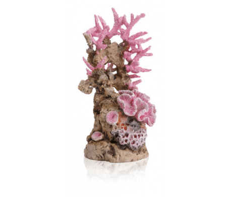 BiOrb koraalrif ornament roze BiOrb koraalrif ornament roze