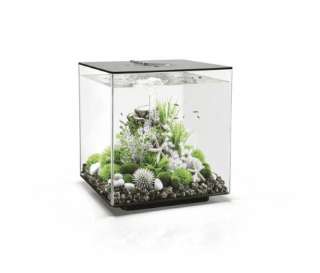 Biorb Cube 60 MCR Zwart Biorb Cube 60 MCR Zwart