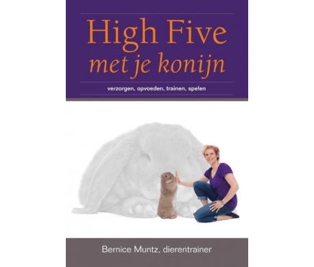 High Five Met Je Konijn High Five Met Je Konijn