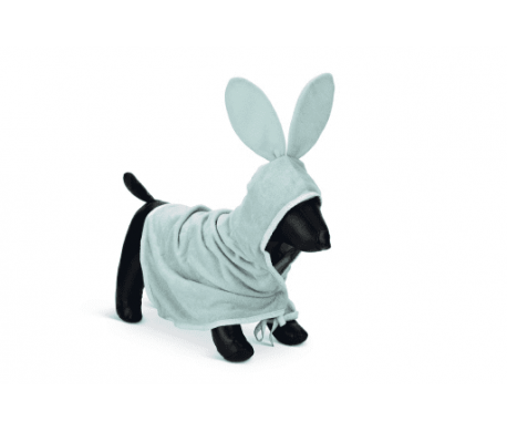BZ PUPPY BADJAS FOOMPIE BZ PUPPY BADJAS FOOMPIE