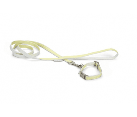 BZ PUPPY SET HALSBAND+LIJN JICCA - geel
