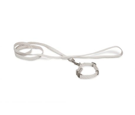 BZ PUPPY SET HALSBAND+LIJN RINA - roze BZ PUPPY SET HALSBAND+LIJN RINA - roze