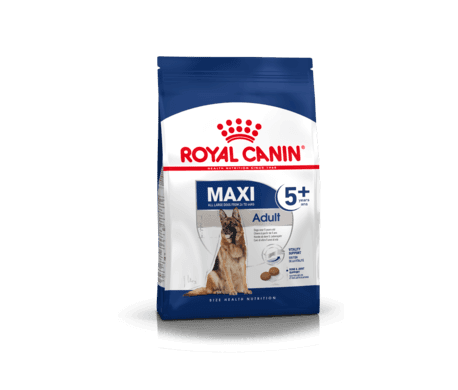 Royal Canin Maxi Adult 5+