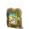 JR Farm Appelweidehooi (500 gram)