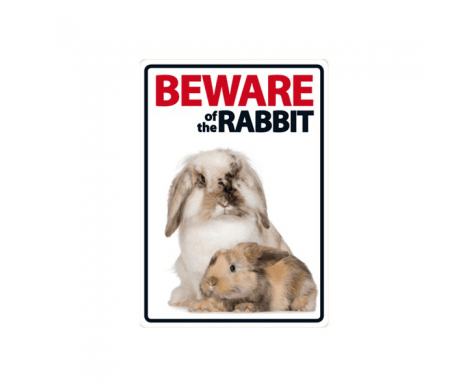 Beware of the Rabbit Beware of the Rabbit