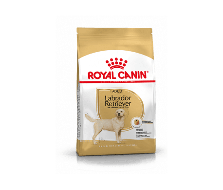 Royal canin - Labrador Retriever Adult