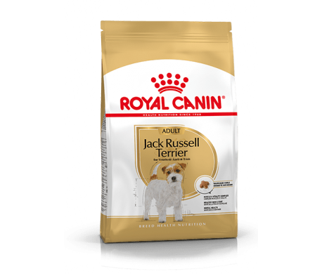 Royal Canin Jack Russel Adult