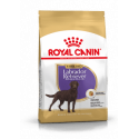 Royal Canin Labrador Retriever Sterillised Adult 12kg