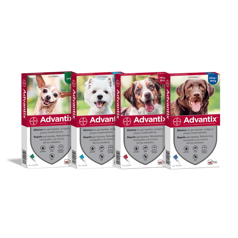 Obsessie Dankzegging ophouden Advantix Hond - tegen vlooien en teken (6 pipetten) kopen? |  Dierenverblijf.com