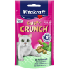 Vitakraft Crispy Crunch Dental met Pepermuntolie