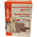 Proline Boxby Dental Sticks 