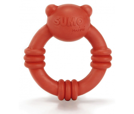 Sumo Mini Team