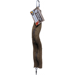 Back Zoo Nature Snake Perch small