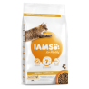 Iams Hairball Control Kip 10kg