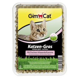GimCat Kattengras (met weiland geur aroma) 150g 