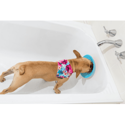 Lickimat Splash - Turquoise 19 cm