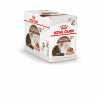 Royal Canin Natvoer Ageing 12+ (saus)