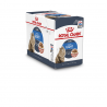 Royal Canin Natvoer Ultra Light (saus)