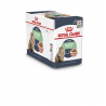Royal Canin Natvoer Digest Sensitive (saus)