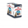 Royal Canin Natvoer Urinary Care (saus)