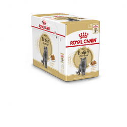 Royal Canin British Shorthair Adult Gravy (12st)